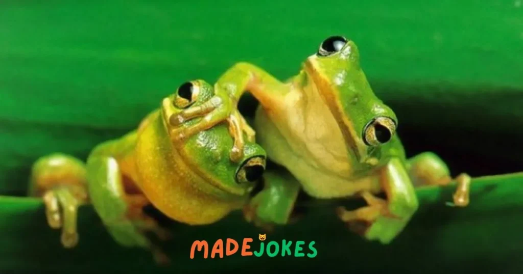 Frog Jokes and Puns for Kids