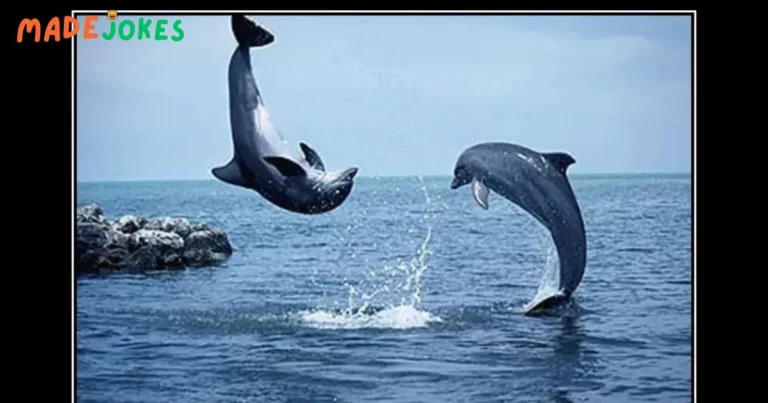 Whale Jokes & Puns