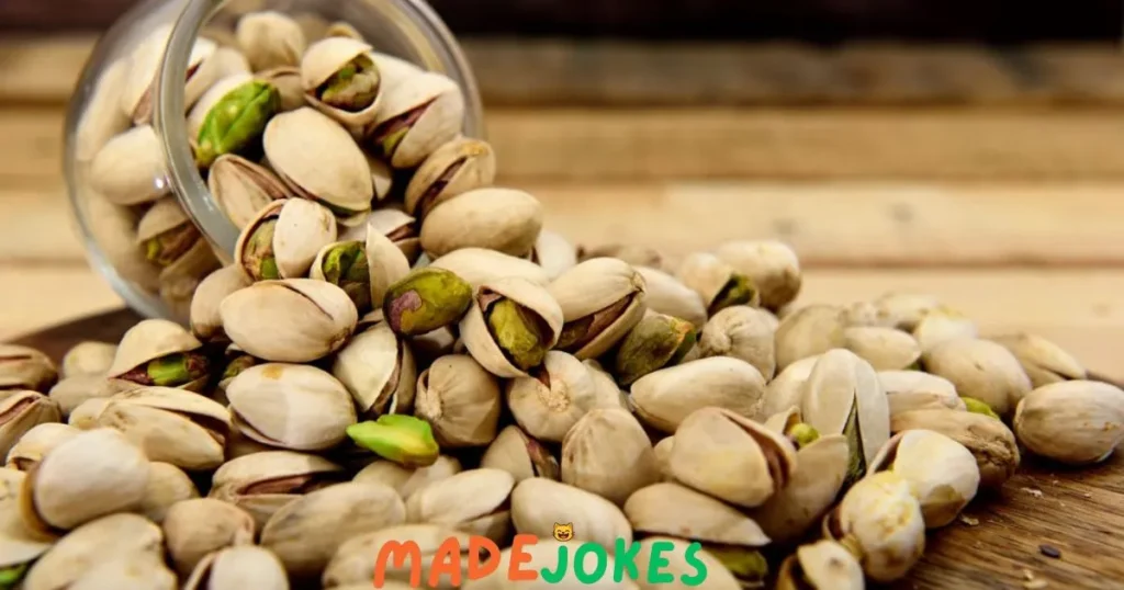 Adult Pistachio Puns