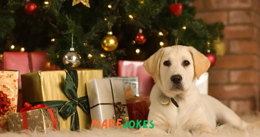 Adult Dog Christmas Jokes 