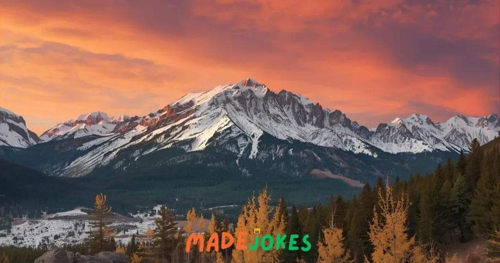 Cheesy Colorado Puns