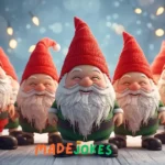 Christmas Gnome Jokes