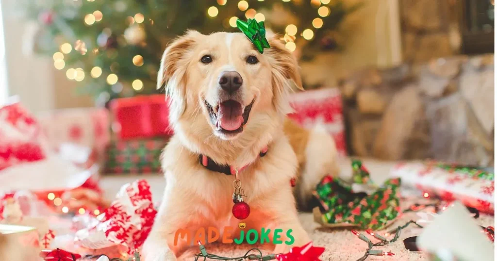 Dad Dog Christmas Jokes