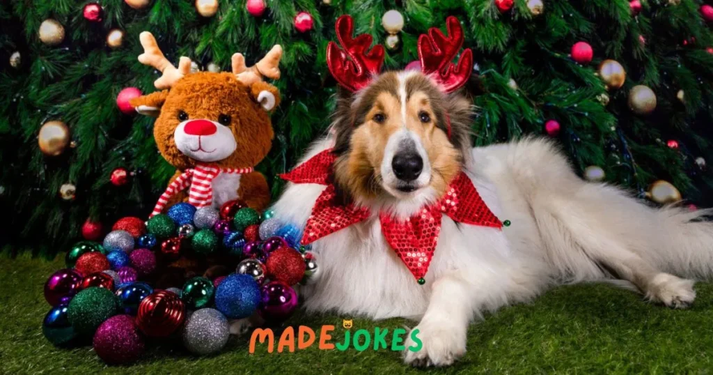 Dog Christmas Jokes