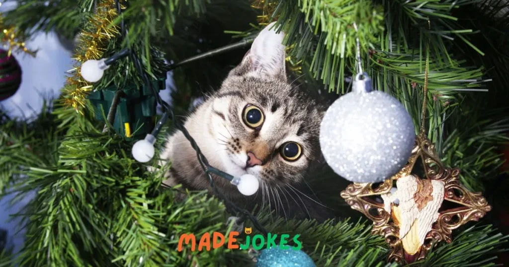 Top Christmas Cat Jokes